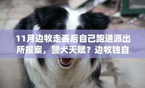 第1547页
