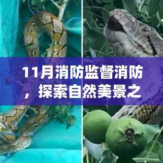 11月消防监督下的自然美景探索之旅,宁静之旅的保障与美景的双重体验