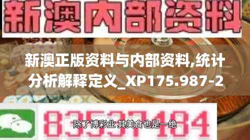 新澳正版资料与内部资料,统计分析解释定义_XP175.987-2