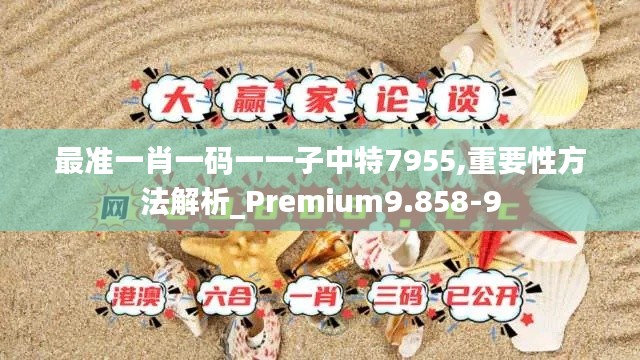 最准一肖一码一一子中特7955,重要性方法解析_Premium9.858-9