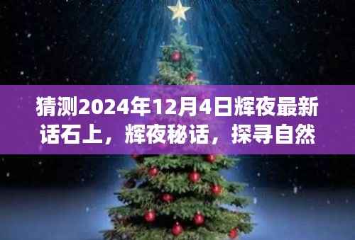 心灵探寻之旅，辉夜秘话与石上猜想之旅，探寻自然美景的宁静之旅（2024年12月4日）