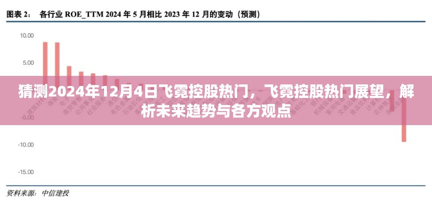 猜测2024年12月4日飞霓控股热门，飞霓控股热门展望，解析未来趋势与各方观点