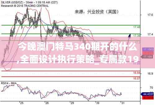 今晚澳门特马340期开的什么,全面设计执行策略_专属款19.861