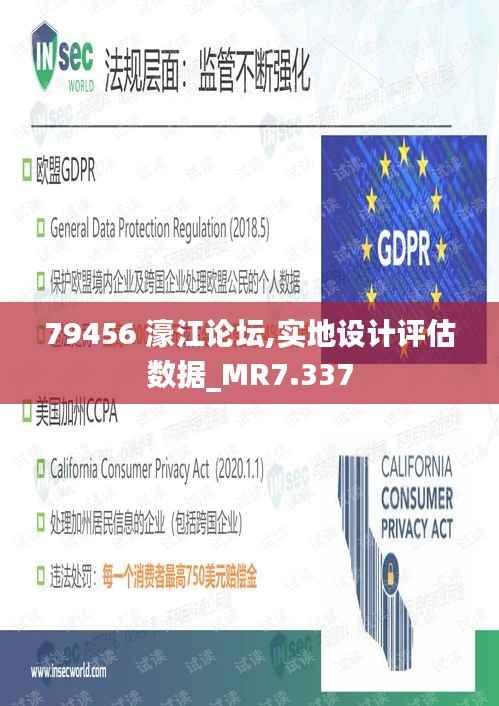 79456 濠江论坛,实地设计评估数据_MR7.337