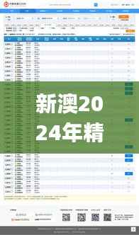 新澳2024年精准资料220期,迅捷解答计划执行_WP9.855