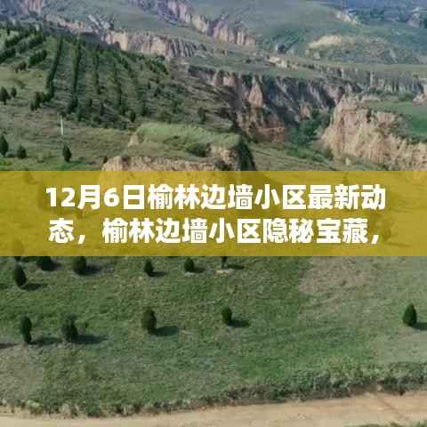 榆林边墙小区隐秘宝藏揭秘,最新动态与小巷特色小店新发现