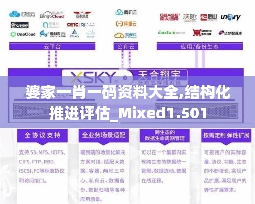 婆家一肖一码资料大全,结构化推进评估_Mixed1.501