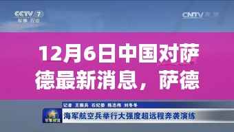 中国视角下的萨德风云,暖心日常与友情纽带在行动中的故事(12月6日最新消息)