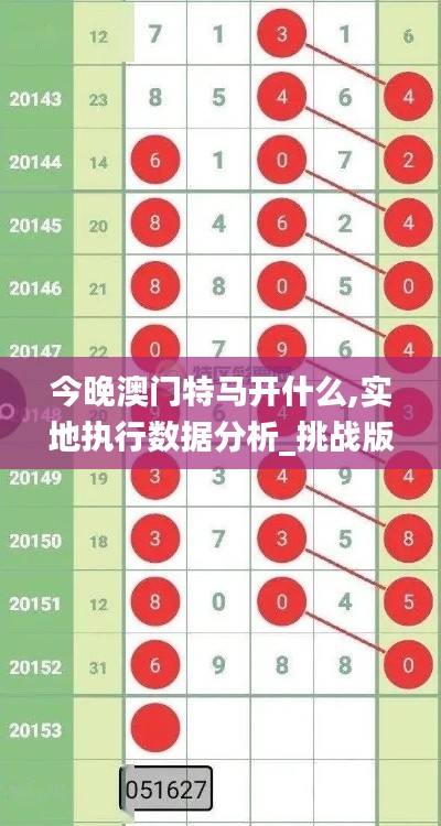 今晚澳门特马开什么,实地执行数据分析_挑战版4.665