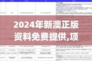 2024年新澳正版资料免费提供,项目管理推进方案_手游版17.126