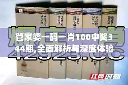 管家婆一码一肖100中奖344期,全面解析与深度体验_理财版4.404