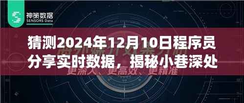 揭秘小巷深处的神秘角落,2024年实时数据程序员分享盛宴