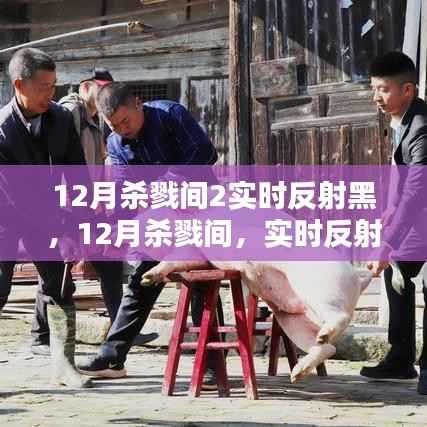 深度解析,12月杀戮间的实时反射黑现象与背后真相