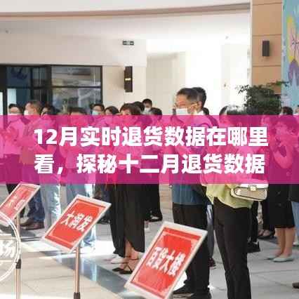 探秘十二月退货数据,购物之旅与友情的交织,实时数据解读与故事分享