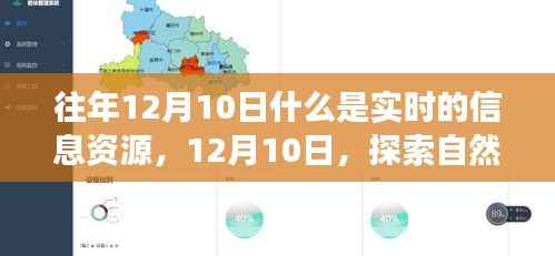 往年12月10日,实时信息资源探索与心灵自然之旅的宁静喜悦探索