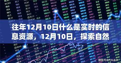 往年12月10日,实时信息资源探索与心灵自然之旅的宁静喜悦探索