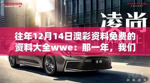 往年12月14日澳彩资料免费的资料大全wwe:那一年,我们的共同回忆