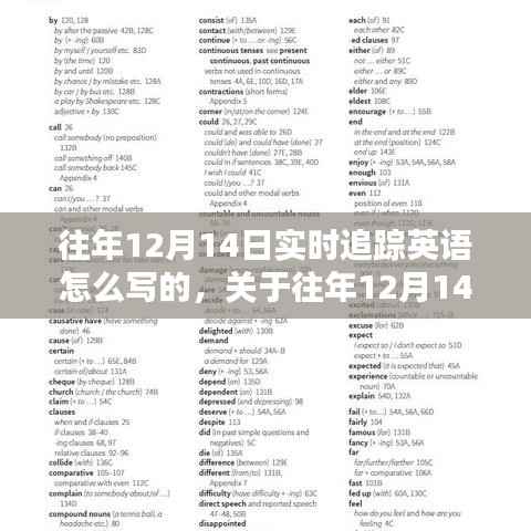往年12月14日实时追踪英语探讨与解析指南