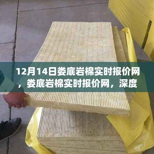 娄底岩棉实时报价网深度探讨,价值与影响力的探讨
