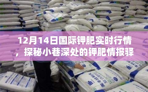 探秘钾肥情报驿站,揭秘国际钾肥实时行情,掌握最新资讯速览(12月14日)