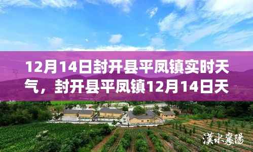 封开县平凤镇12月14日天气概况,实时分析、影响探讨及应对观点