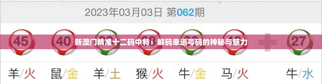 新澳门精准十二码中特:解码幸运号码的神秘与魅力