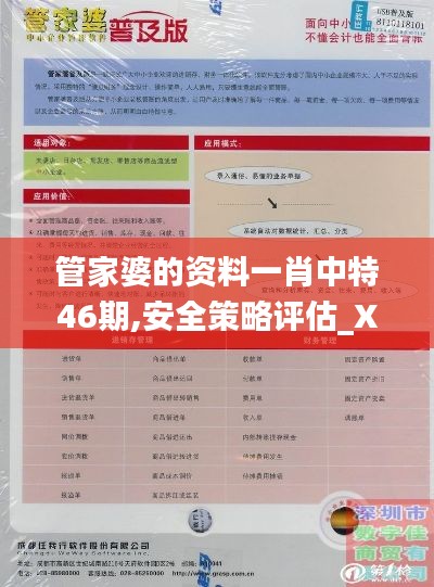 管家婆的资料一肖中特46期,安全策略评估_XR19.265
