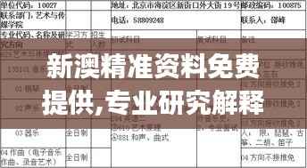 新澳精准资料免费提供,专业研究解释定义_豪华款9.546