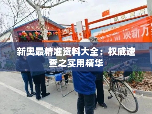 新奥最精准资料大全:权威速查之实用精华