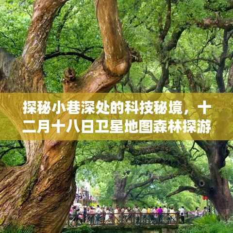 如翚斯飞 第3页