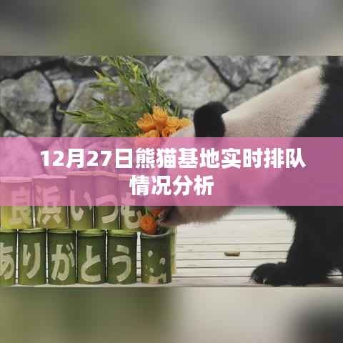 熊猫基地实时排队状况分析,最新数据解读