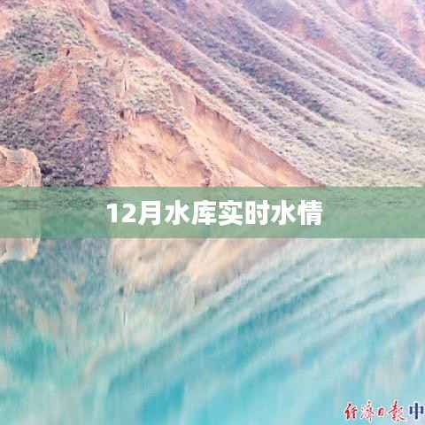 水库实时水情报告,最新数据尽在掌握