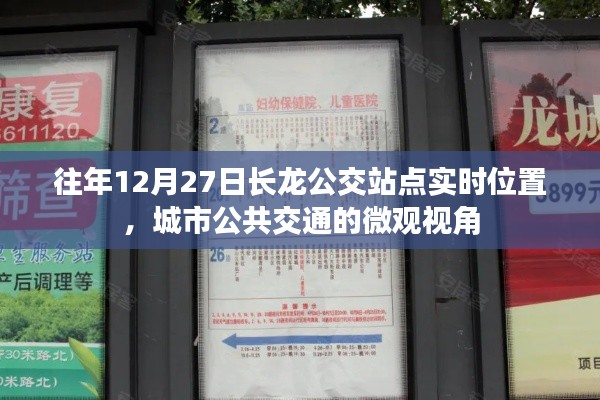 鸟入樊笼 第4页