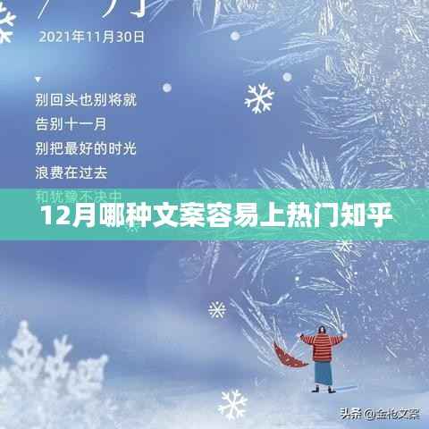 十二月知乎热门文案揭秘