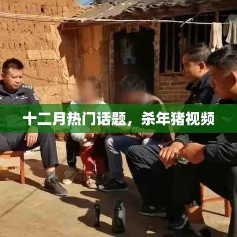 十二月热门话题,杀年猪现场实录