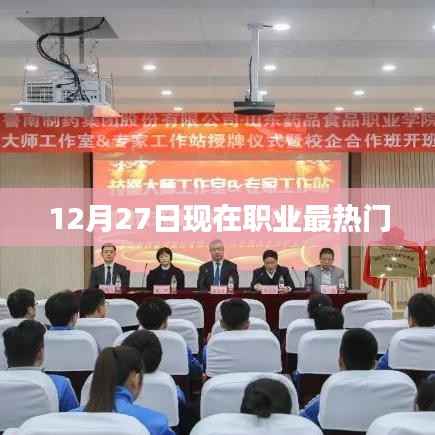 12月27日热门职业趋势分析