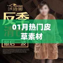 时尚皮草素材精选,一月热门流行趋势