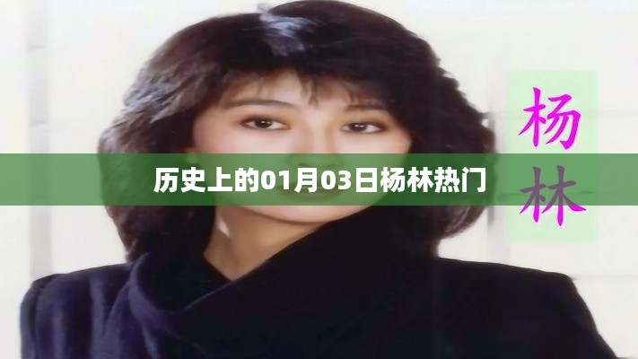 杨林历史上的重要时刻,一月三日聚焦杨林