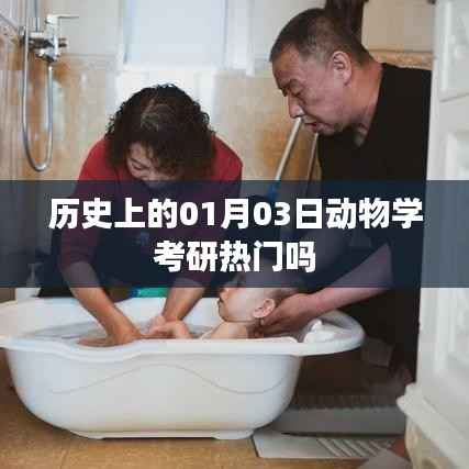 考研热门日,历史一月三日动物学关注度解析