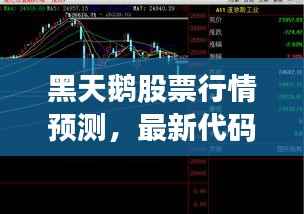 黑天鹅股票行情预测,最新代码走势分析