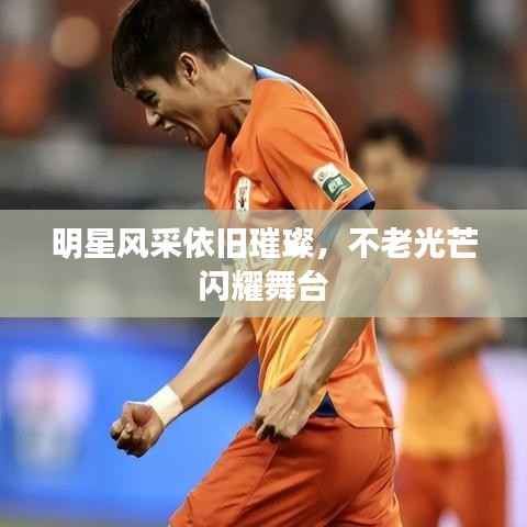 明星风采依旧璀璨,不老光芒闪耀舞台