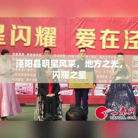 泾阳县明星风采,地方之光,闪耀之星