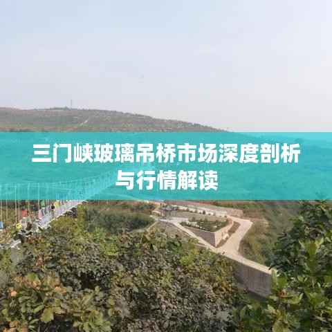 三门峡玻璃吊桥市场深度剖析与行情解读