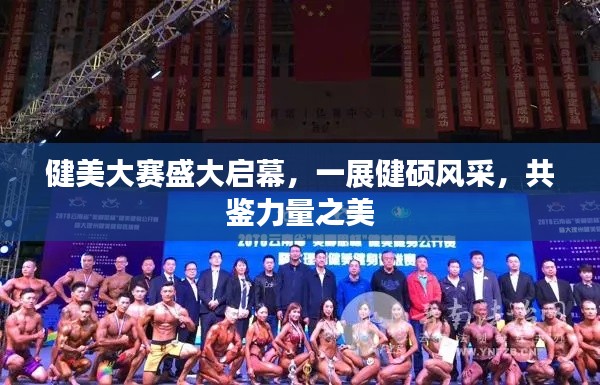 健美大赛盛大启幕,一展健硕风采,共鉴力量之美