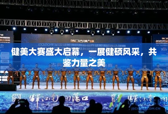 健美大赛盛大启幕,一展健硕风采,共鉴力量之美
