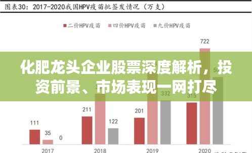 化肥龙头企业股票深度解析,投资前景、市场表现一网打尽