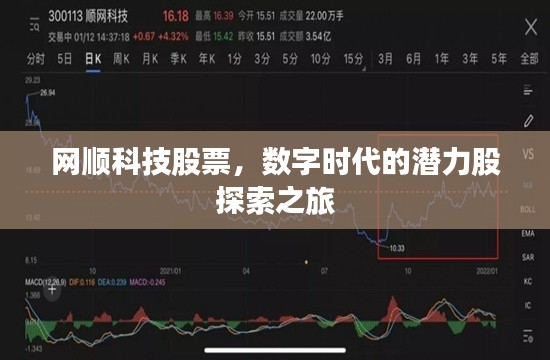 网顺科技股票,数字时代的潜力股探索之旅