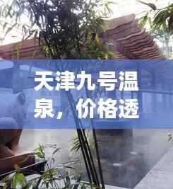 天津九号温泉，价格透明，体验攻略全解析！