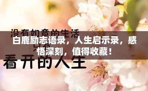 白鹿励志语录,人生启示录,感悟深刻,值得收藏!