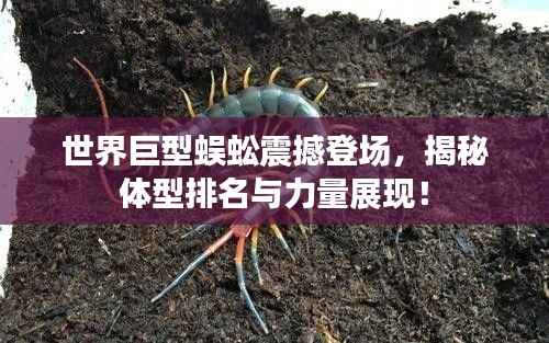 世界巨型蜈蚣震撼登场,揭秘体型排名与力量展现!
